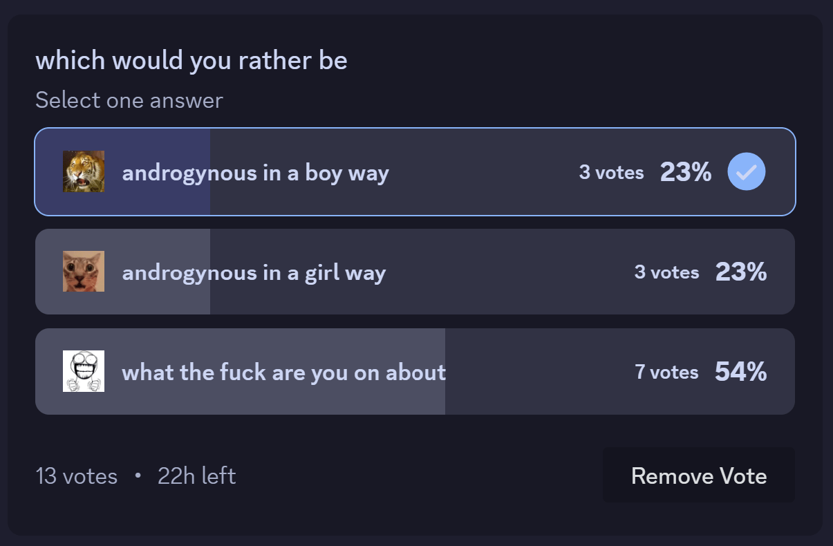 screenshot of a discord
			poll. the question is which would you rather be, and the options are
			androgynous in a boy way, androgynous in a girl way, and what the fuck are
			you talking about. the first two options have 3 votes each, and the last
			option has 7 votes